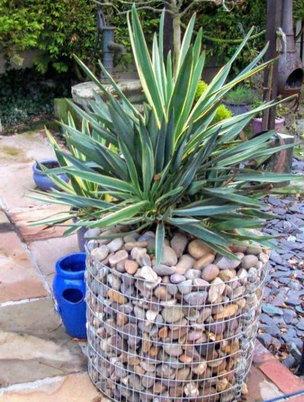 круглая ваза из габионов